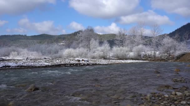 Úžasná příroda krajina s krásnou horskou řekou obklopená zimním lesem se zasněženými stromy — Stock video