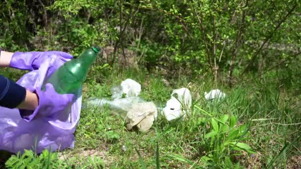 La mano di una volontaria donna in guanti viola raccoglie bottiglie di plastica e spazzatura nella foresta.Purezza della natura.Protezione ambientale e riduzione dei rifiuti. — Video Stock