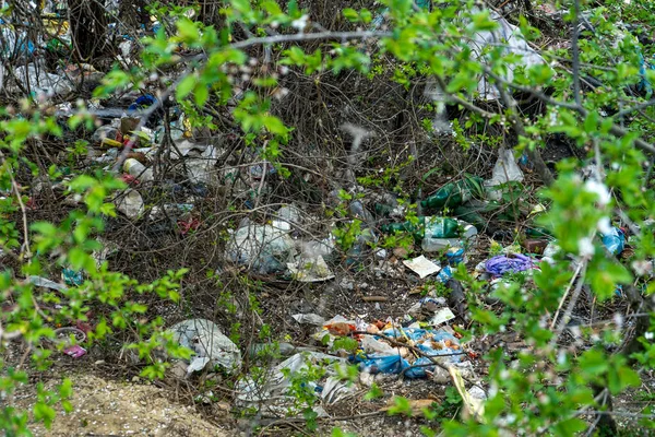 Scattered Plastic Trash Green Forest Spring Shrubs Environmental Pollution High — Stock Photo, Image