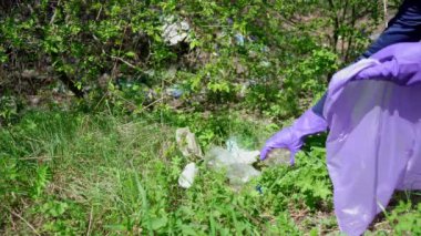 Mor eldivenli bir kadın gönüllü ormanda plastik şişe ve çöp topluyor. Doğanın saflığı. Çevre koruma ve atık azaltma. Yüksek kalite 4k görüntü