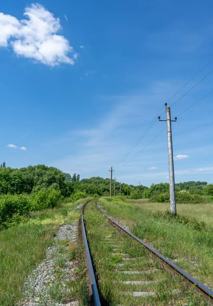 Doğada ve mavi gökyüzünün altında ilerleyen rayların güzel bir görüntüsü. Yüksek kalite fotoğraf