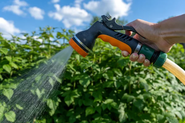 Hånd Holder Vanding Slange Vanding Planter Havearbejde Pleje Undfange Høj - Stock-foto