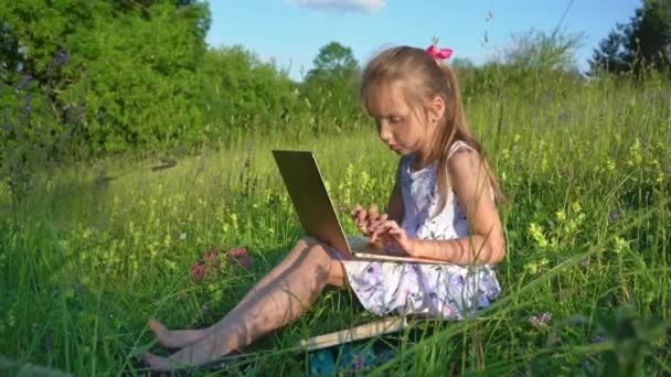 Niña Sentada Hierba Usando Portátil Educación Estilo Vida Concepto Tecnológico — Vídeo de stock