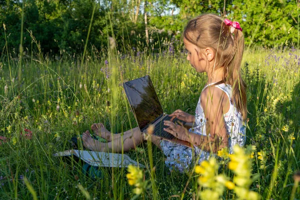 Gadis Kecil Duduk Rumput Dan Menggunakan Laptop Pendidikan Gaya Hidup — Stok Foto