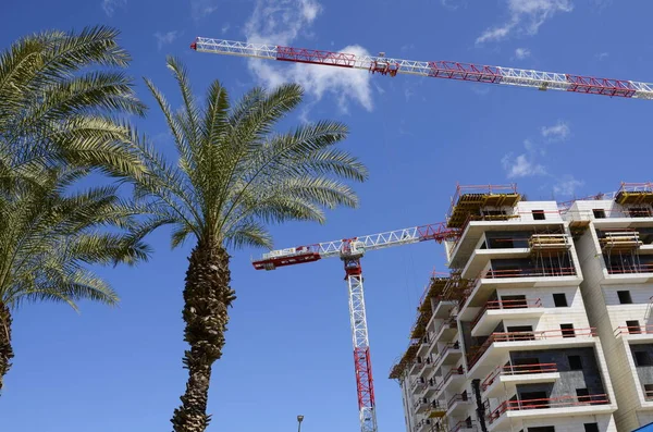 İnşaat alanı. Şehrin yeni bir bölgesinde konut inşaatı tersanesi. Vinçli site.