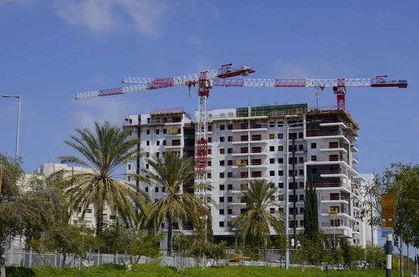 Big building. Construction crane. Big white house and palm trees around. Construction in Israel.