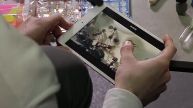 Tabletli bir adam karıncaların yakın çekim videosunu çeker. Karınca çiftliği. Hobi - çalış