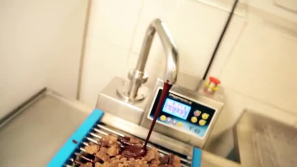 Chocolate Factory How Craft Chocolate Made Hot Chocolate Poured Tap — 비디오