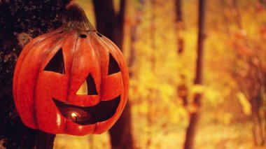 Düşen yaprakların arka planında Jack Lantern var. Sonbahar ormanında lamba. Cadılar Bayramı 