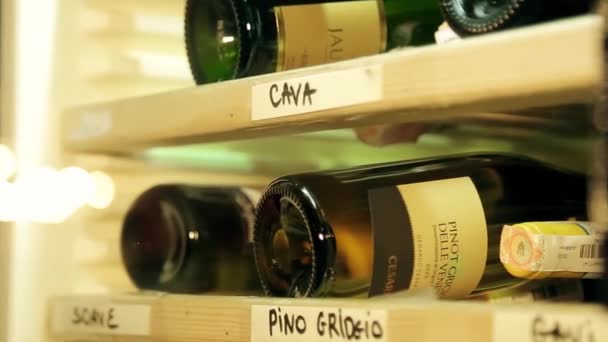 Κρασί Vault Συλλογή Κρασιών Για Δοκιμή Κελάρι Κρασιού Ελίτ Κρασιά — Αρχείο Βίντεο