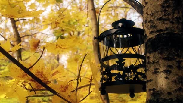 Vintage Lantern Reeling Background Yellow Orange Autumn Leaf Fall Halloween — Wideo stockowe