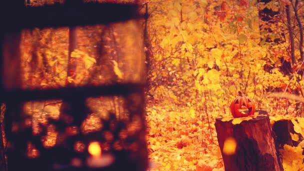 Vintage Lantern Reeling Background Yellow Orange Autumn Leaf Fall Halloween — Wideo stockowe