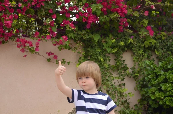 Cute Little Boy Holding His Thumbs Background Pink Bougainvillea — Photo