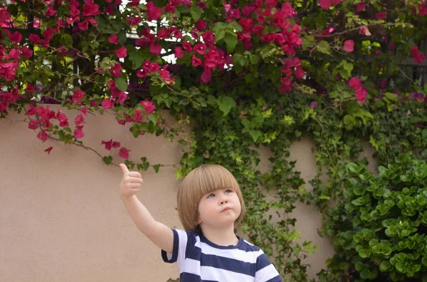 Parmağını Kaldıran Sevimli Küçük Çocuk Arka Planda Pembe Bir Begonvil — Stok fotoğraf