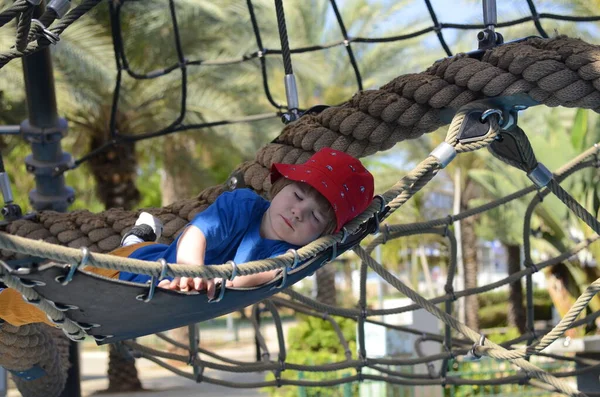 A cute boy in red panama hat sleeping lies in a hammock. Grid on the playground, rope park. Web for activities. Child in the rope park. Palm trees in the background