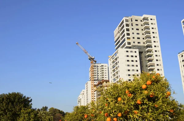 Construction Site Crane Orange Trees New Houses Modern Residential Buildings — Stock Photo, Image