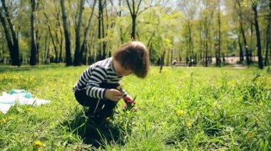 Çizgili tişörtlü, uzun sarı saçlı küçük çocuk parkta yeşil bir çayırda sarı çiçek topluyor.