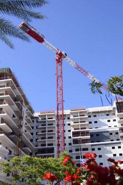 İnşaat alanı, inşaat vinci, çiçek açan kırmızı güller ve palmiye dalı. dikey resim