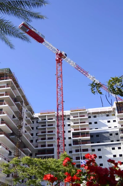 İnşaat alanı, inşaat vinci, çiçek açan kırmızı güller ve palmiye dalı. dikey resim