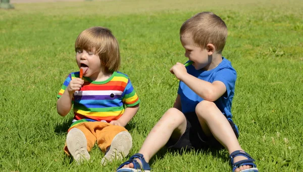 Dos Niños Pequeños Están Comiendo Piruleta Prado Verde Dos Hermanos — Foto de Stock