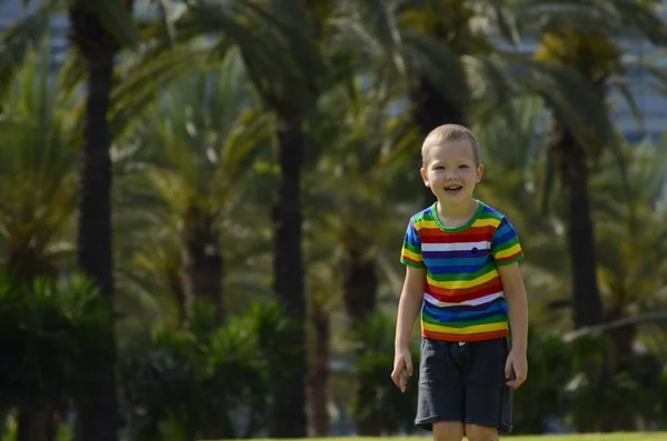 Ein Kleiner Junge Bunten Regenbogen Shirt Hintergrund Eine Palmenallee Ein — Stockfoto
