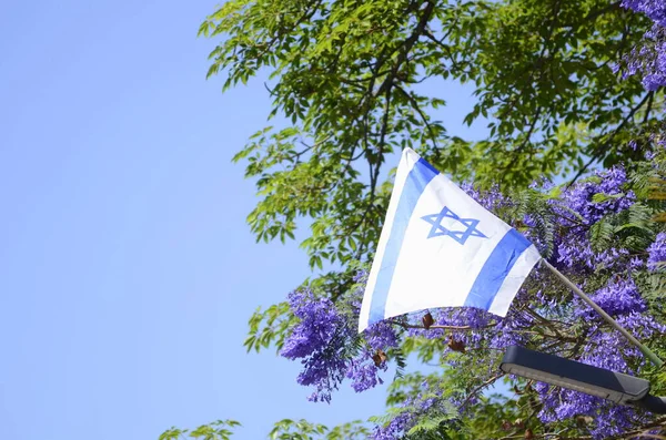 Israeli Flag Star David Rays Bright Sun Backdrop Jacaranda Blooming — Stock Photo, Image