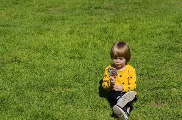 Porträt Eines Glücklichen Kleinen Jungen Der Lutscher Freien Isst Natürlicher — Stockfoto