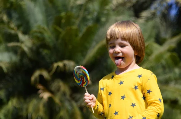 Portrait Little Boy Background Palm Branches Child Eats Big Lolipop — Stock Photo, Image