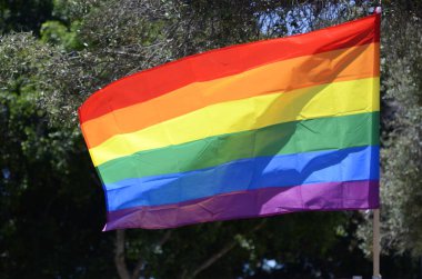 Mavi gökyüzüne el sallayan bir LGBT örgütünün gökkuşağı bayrağı. Yeşillik içinde sallanan gurur bayrağı