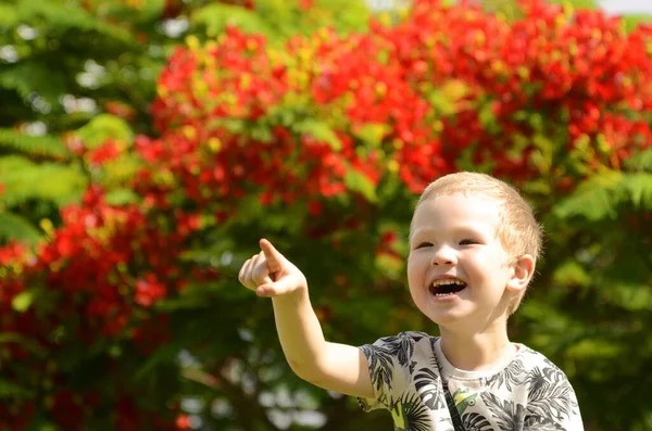 Portrait of a cute blond boy. A 5-year-old child laughs in front of a blooming Delonix regia. Place for text. Emotions: surprise, joy, shock, smile, have an idea.