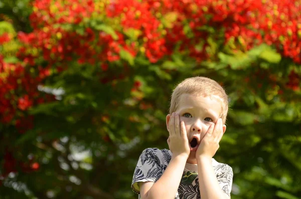 Portrait of a cute blond boy. A 5-year-old child laughs in front of a blooming Delonix regia. Place for text. Emotions: surprise, joy, shock, smile, have an idea.