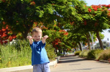 Çiçekli bahçede baharı dinleyen mutlu sarışın çocuk. Çiçekli Delonix Royal, kırmızı çiçekler. Çocuk gülüyor. Pozitif çocuk, metin için boşluk