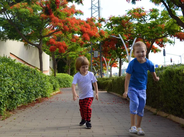 The boys run in the park. Children play on nature. Blooming trees. Brothers have fun together