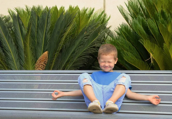 Little Boy Preschooler Meditates Child Sitting Bench Boy Makes Wish — ストック写真