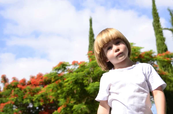 Söt Liten Pojke Ett Treårigt Barn Ett Porträtt Naturen Trädgården — Stockfoto