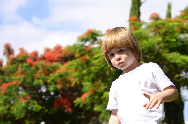 Söt Liten Pojke Ett Treårigt Barn Ett Porträtt Naturen Trädgården — Stockfoto