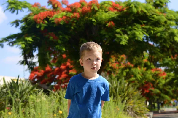 Retrato Niño Pequeño Sobre Fondo Árbol Floreciente Niño Rubio Tiene — Foto de Stock