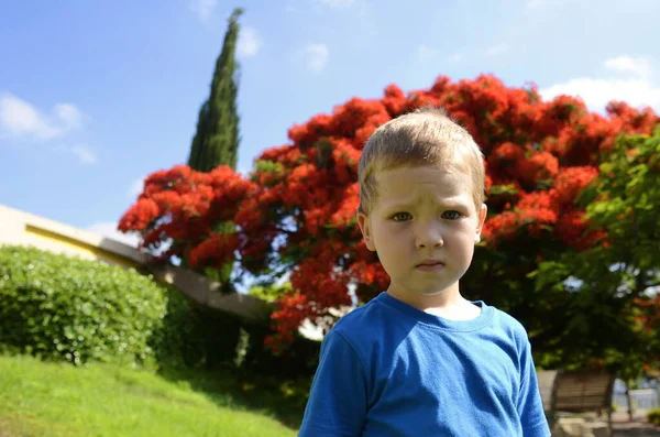 Πορτρέτο Ενός Μικρού Αγοριού Στο Φόντο Ενός Ανθισμένου Δέντρου Παιδί — Φωτογραφία Αρχείου