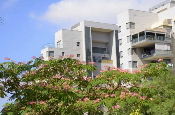 Beautiful residential building surrounded by a garden. Modern housing. Israel - high-rise building, flowering trees. Concept: nice place to live, real estate purchase