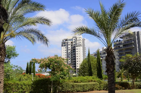 Beautiful residential building surrounded by a garden. Modern housing. Israel - high-rise building, flowering trees. Concept: nice place to live, real estate purchase