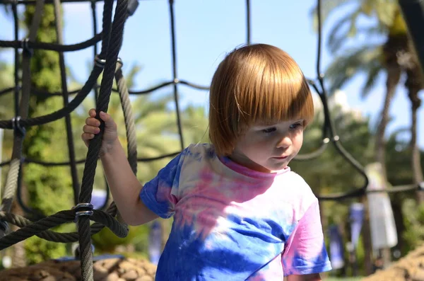 Happy Boy Cheering While Climbing Net Child Crawling Rope Mesh — Stock Photo, Image