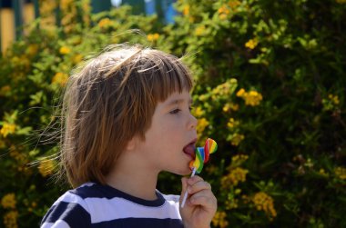 Küçük çocuk çubuğun üzerinde renkli şeker yiyor. Bir çocuğun ellerinde parlak lolipop.