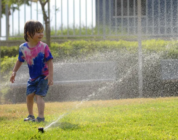 Little boy playing with garden sprinkler. Preschooler Boy running and jumping. Summer outdoor water fun in the backyard. Children play with hose watering grass. Kids run and splash on hot sunny day.