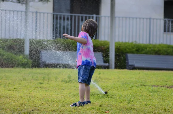 Little boy playing with garden sprinkler. Preschooler Boy running and jumping. Summer outdoor water fun in the backyard. Children play with hose watering grass. Kids run and splash on hot sunny day.