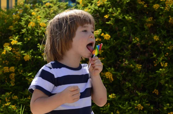 Little Boy Eats Colored Candy Stick Bright Lolipop Hands Child — ストック写真
