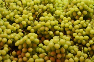 Bir demet üzüm. Bir sürü yeşil üzüm. Markette üzümlü bir tezgah. Hasat merlot, sauvignon, shiraz,