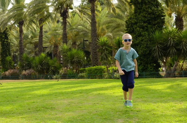 Boy Jumps Joy Green Field Child Sunglasses Background Palm Trees — ストック写真