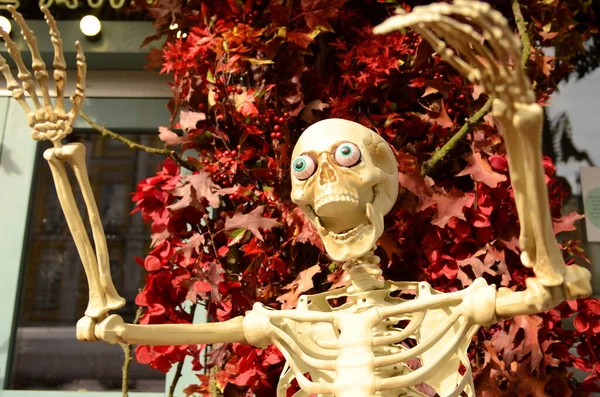 Street decorations for halloween. Funny skeletons, skulls and fallen leaves. Fun and scary. Crimson leaves, skeletons sit at a cafe table, skeletons hang upside down. Concept: preparation for the holiday, American traditions