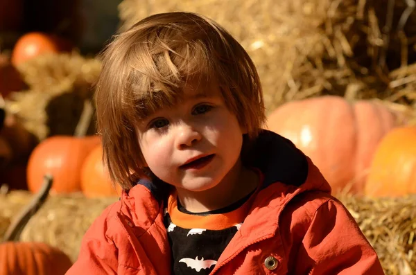 Cute positive boy among pumpkins and haystacks. Autumn Farm Fair, Halloween, Thanksgiving. Beautiful ripe pumpkins, child smiles, harvest festival A boy, three years old, at an autumn festival among pumpkins and haystacks. Festive decorations