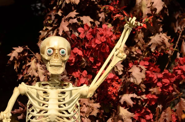 Street decorations for halloween. Funny skeletons, skulls and fallen leaves. Fun and scary. Crimson leaves, skeletons sit at a cafe table, skeletons hang upside down. Concept: preparation for the holiday, American traditions